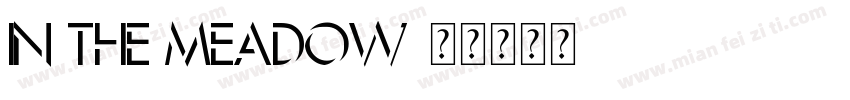In The Meadow字体转换